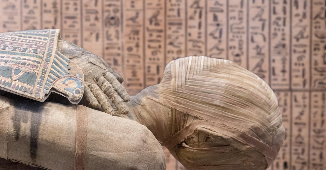 Top 11 des objets du quotidien passés aux rayons X