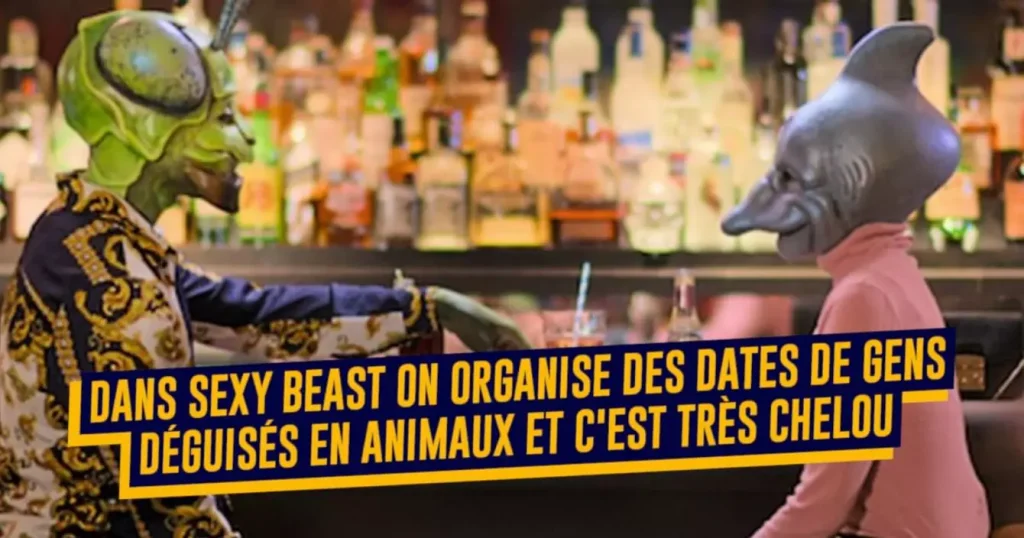 Top 20 des concepts d'émissions qu'on regarde sans l'assumer