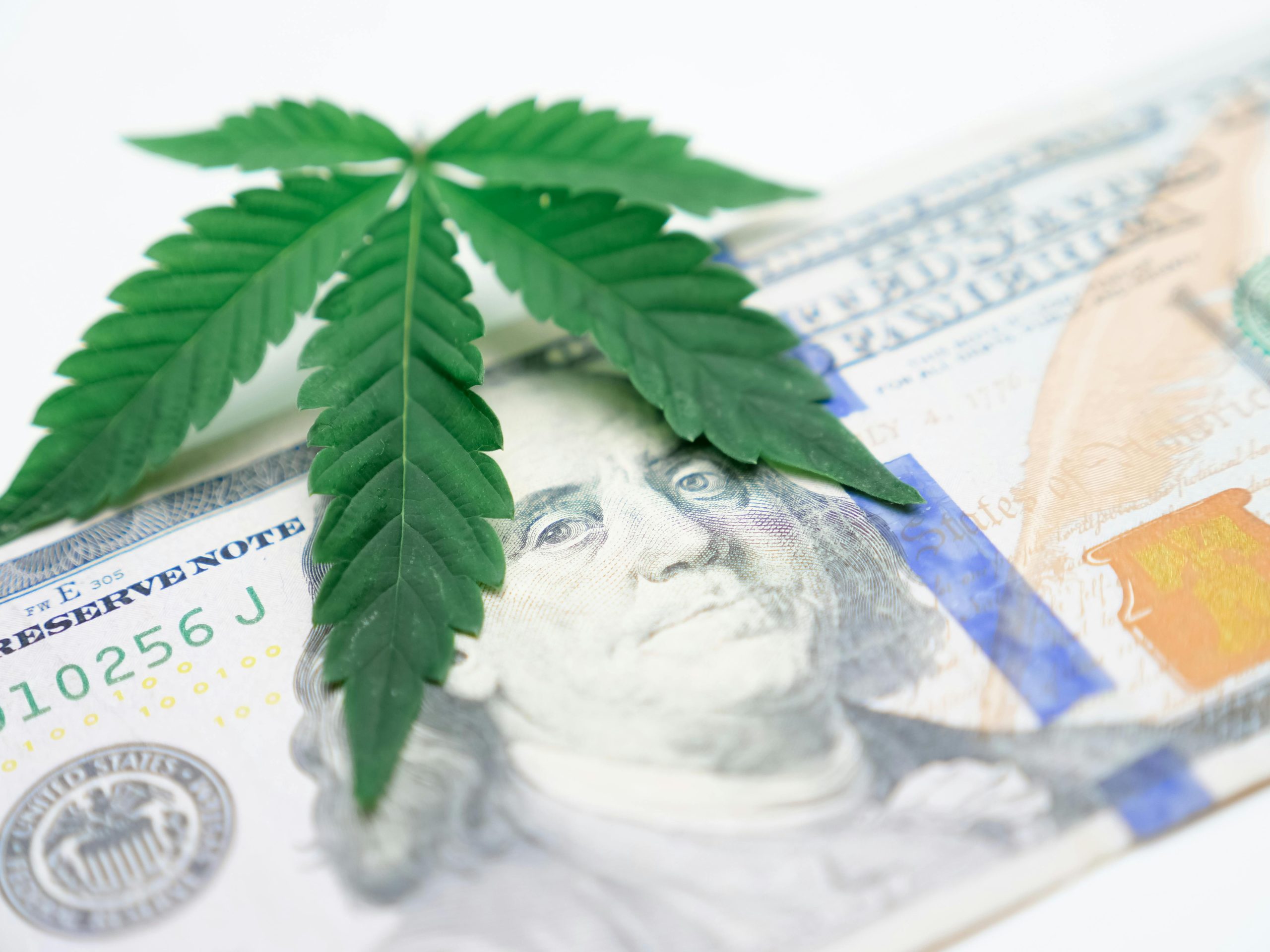 Top 10 des raisons de débattre sur la légalisation du cannabis