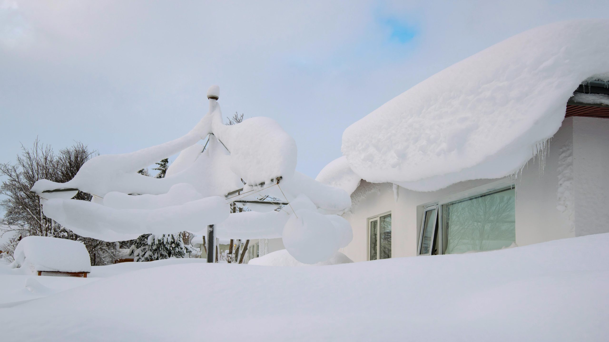 Top 12 des formations à envisager pendant l'hiver