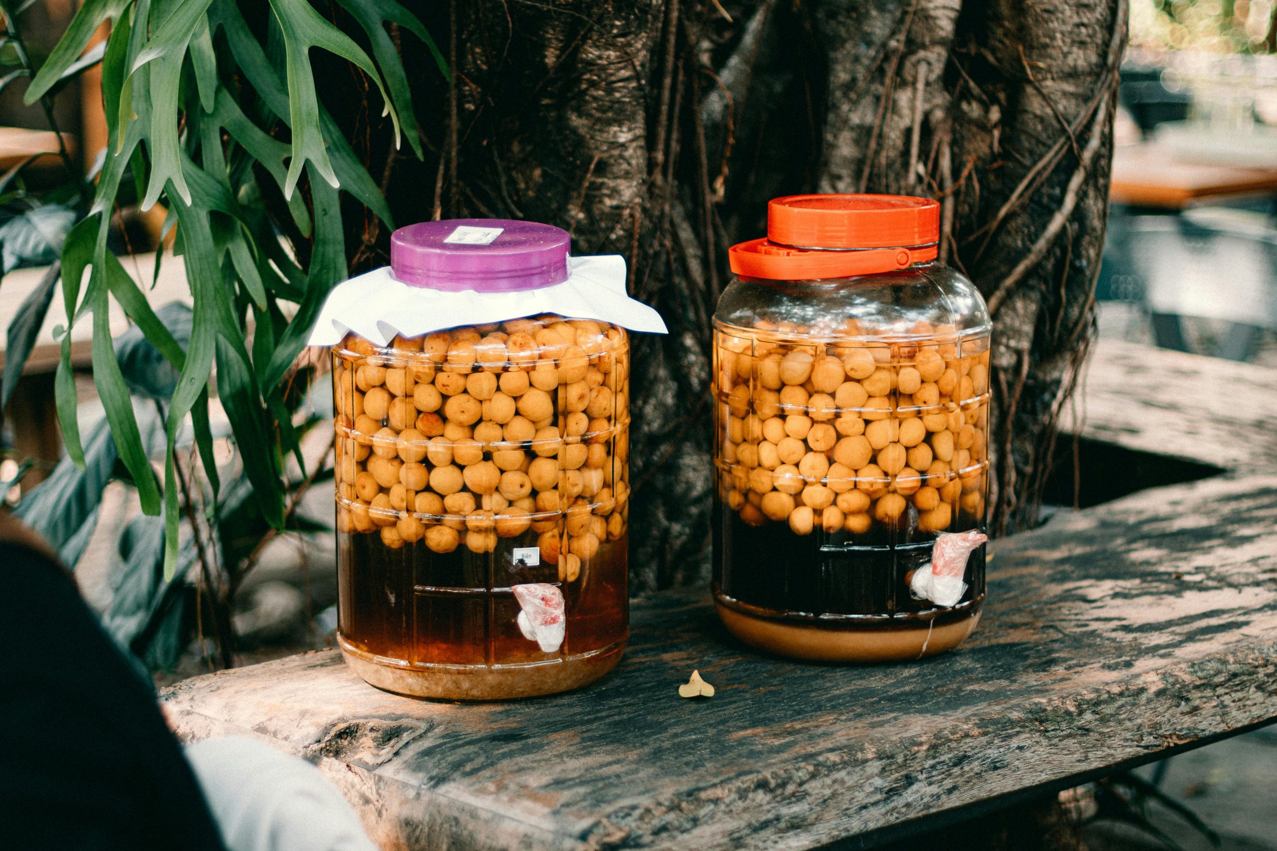 Top 7 des avantages de la fermentation pour l’alimentation