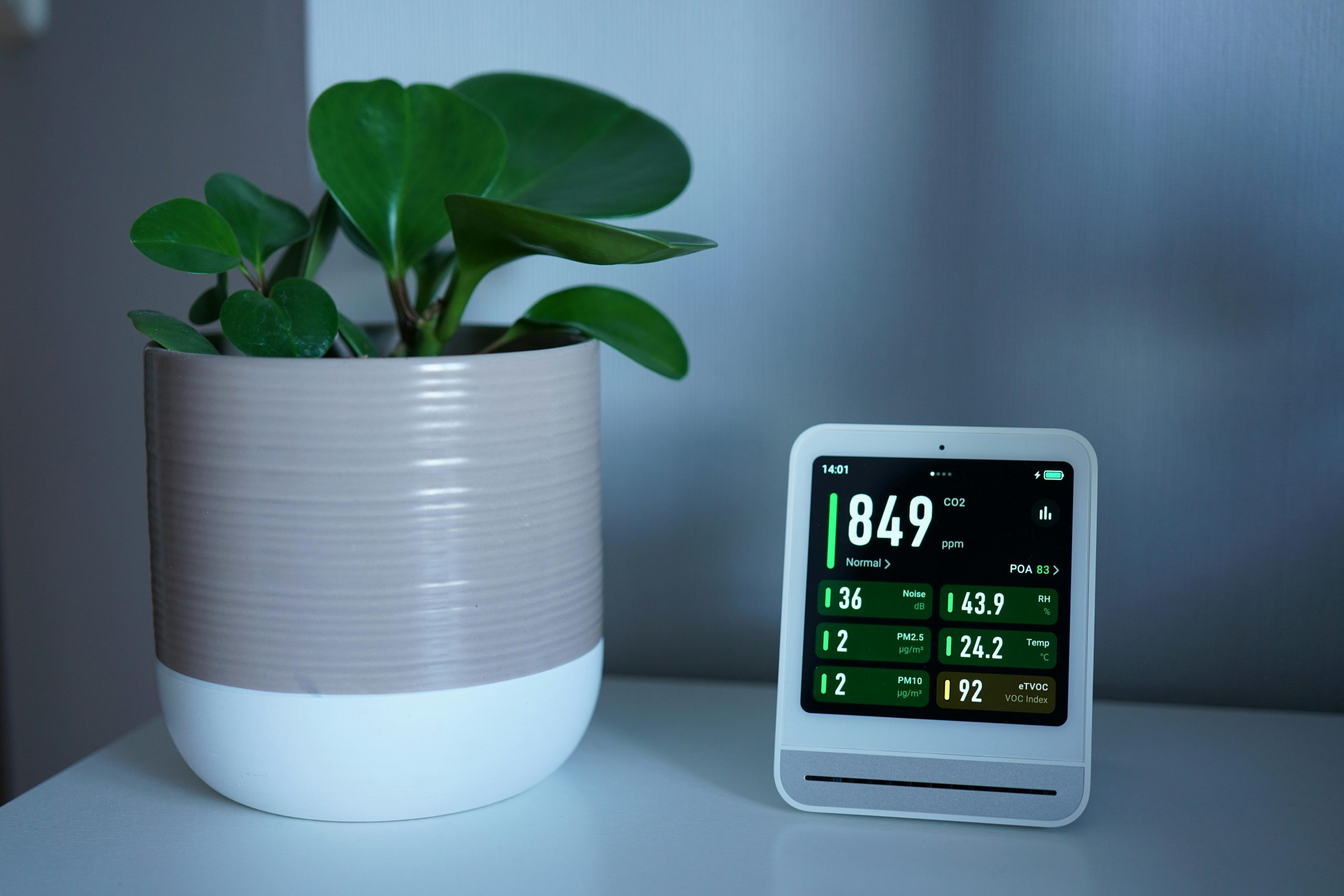 Top 7 des situations où un purificateur d'air devient utile