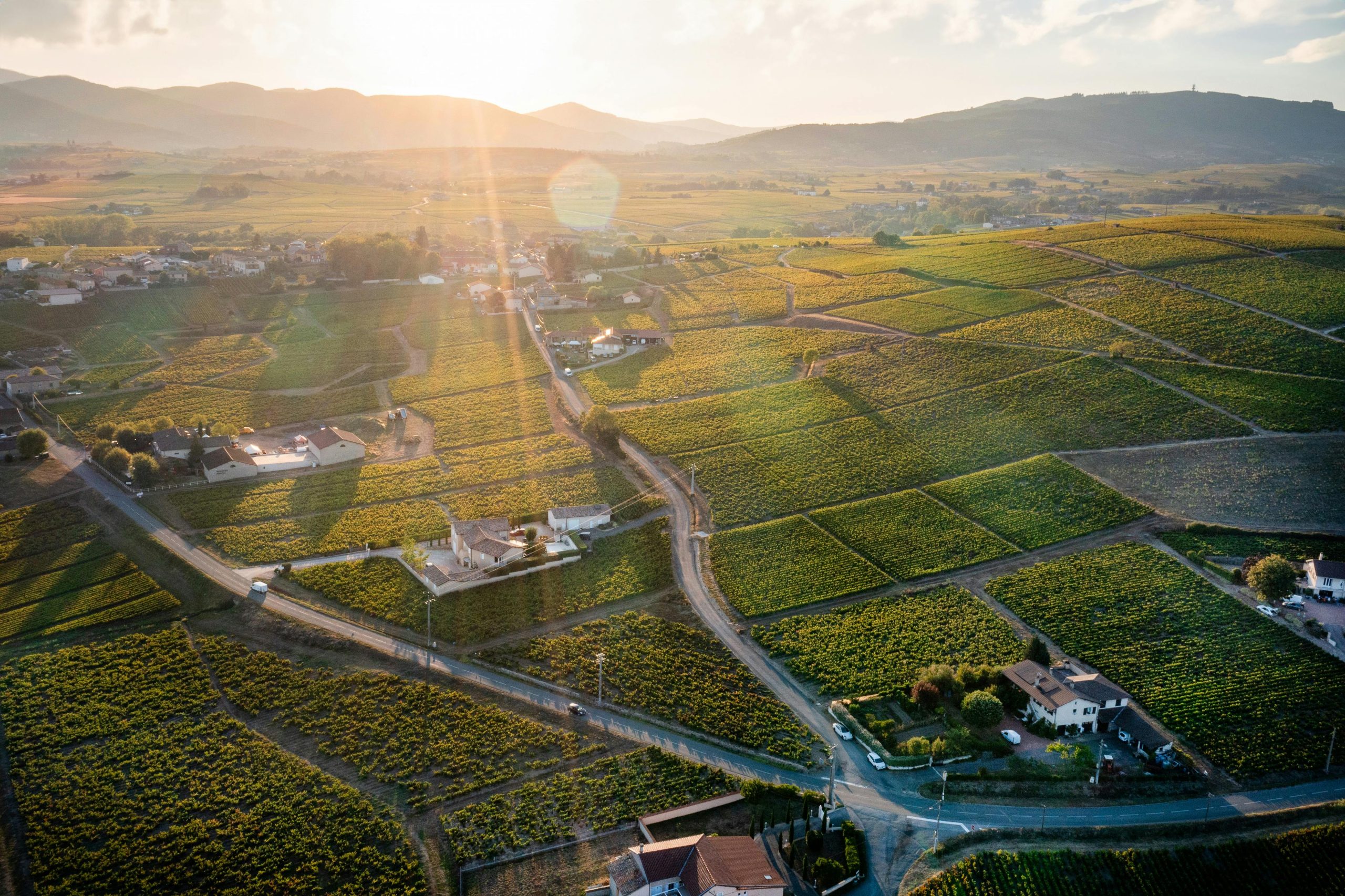 Top 7 des traditions autour du Beaujolais nouveau