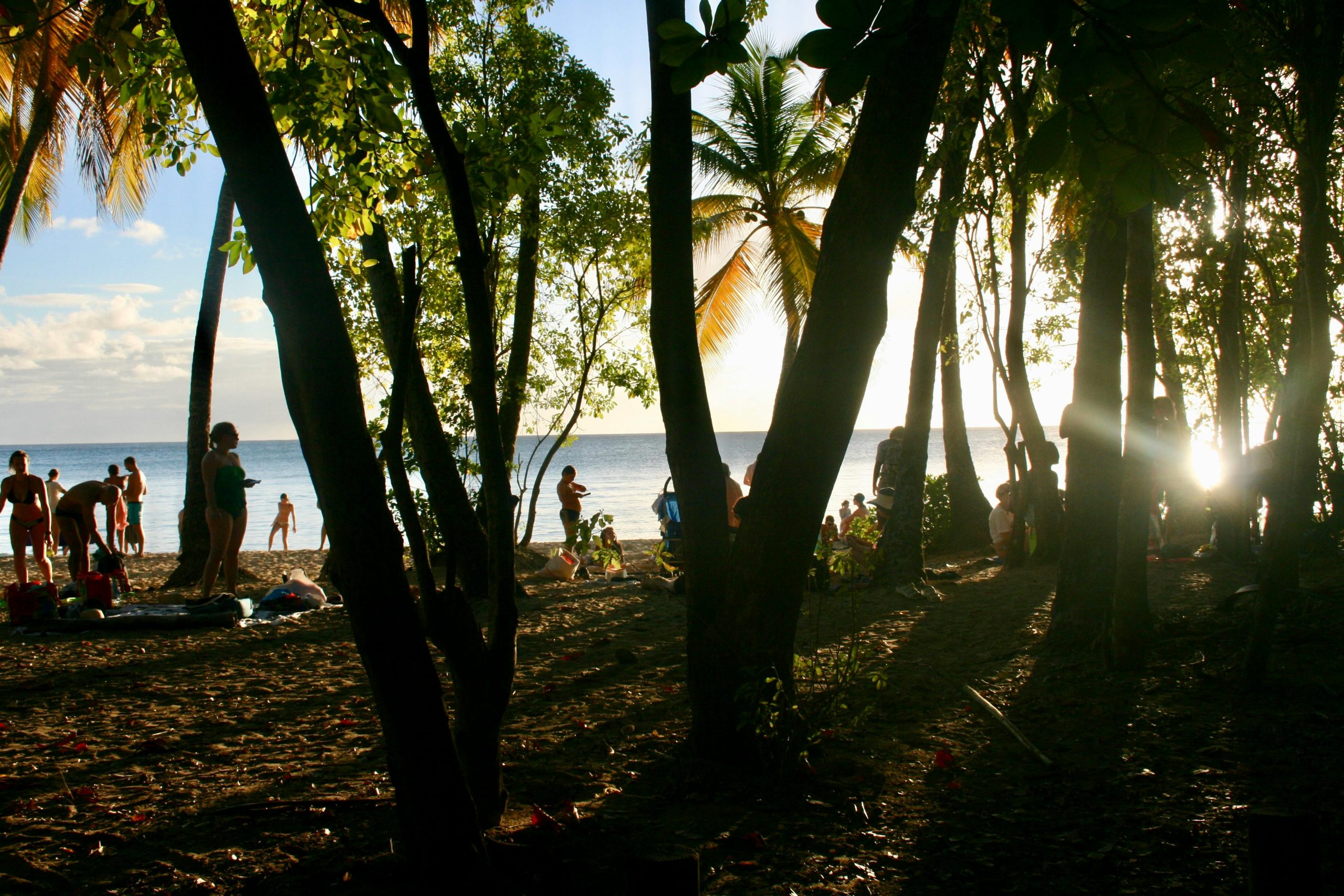 Top 8 des expériences à vivre en Martinique