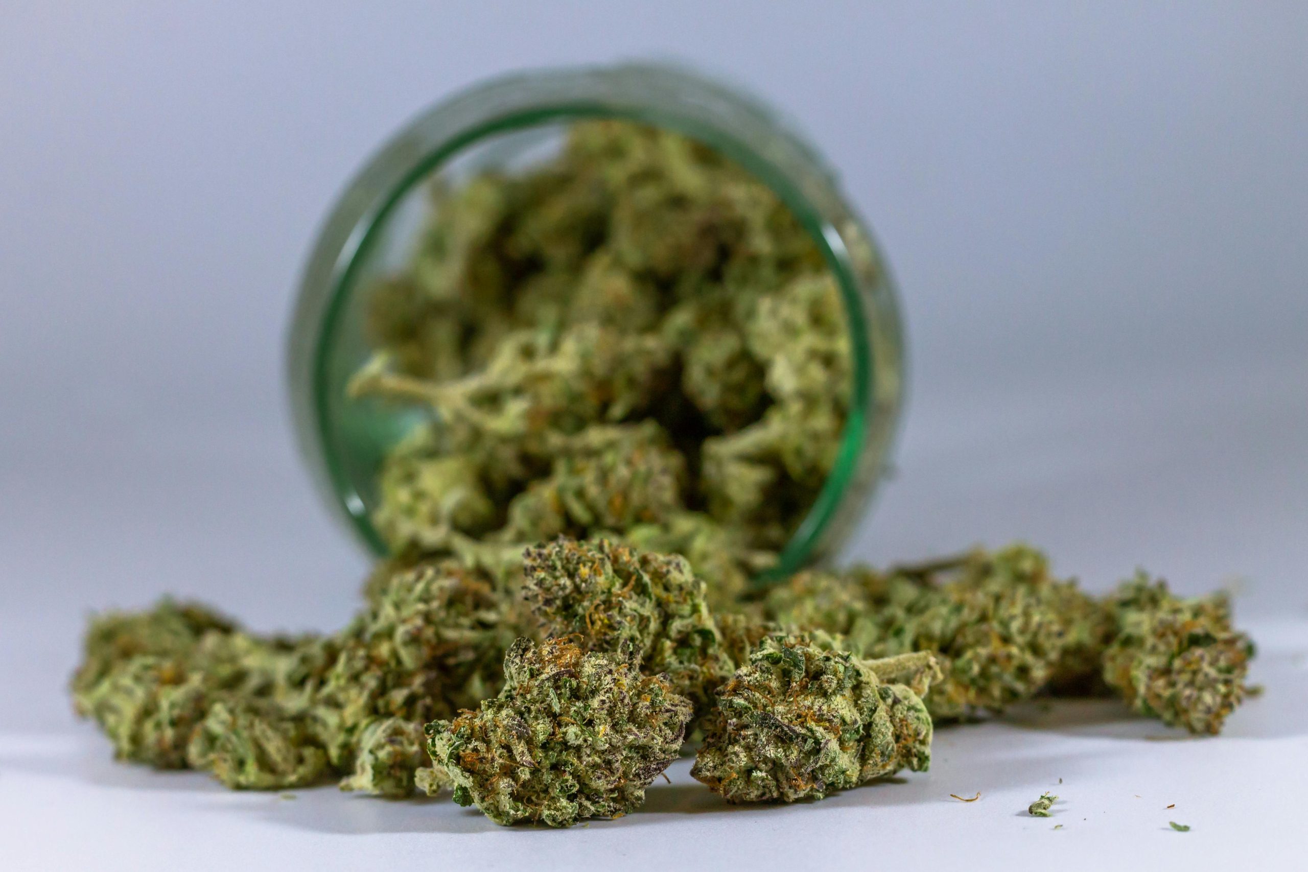 Top 10 des usages du CBD à connaître