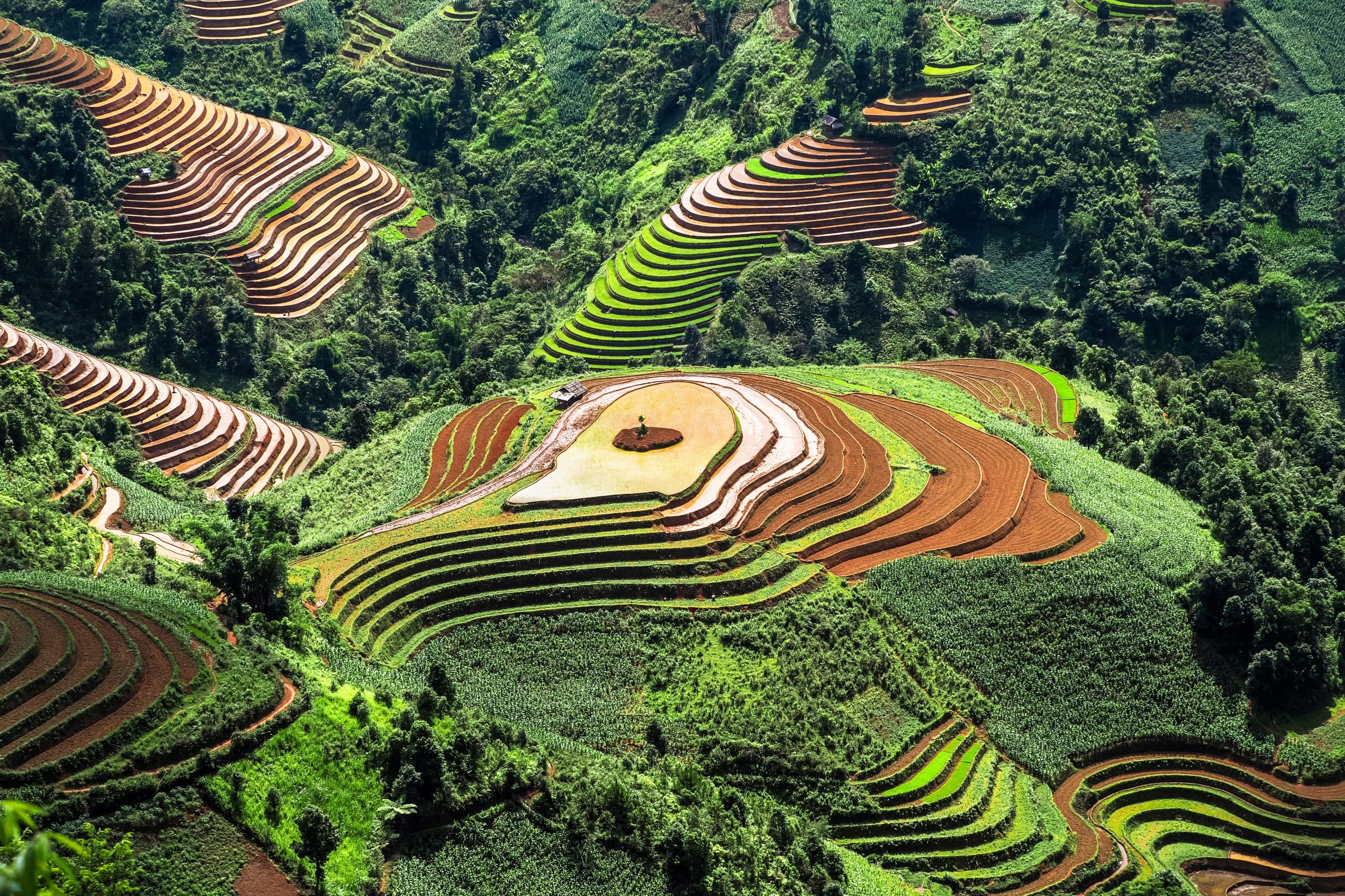 Top 11 des étapes à faire au Vietnam en mars