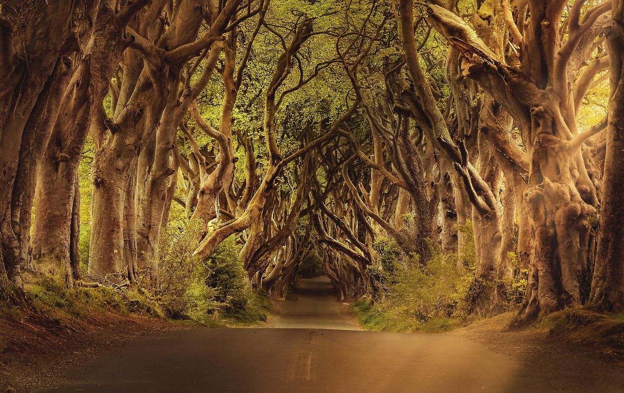 Top 11 des étapes idéales pour un road trip en Irlande