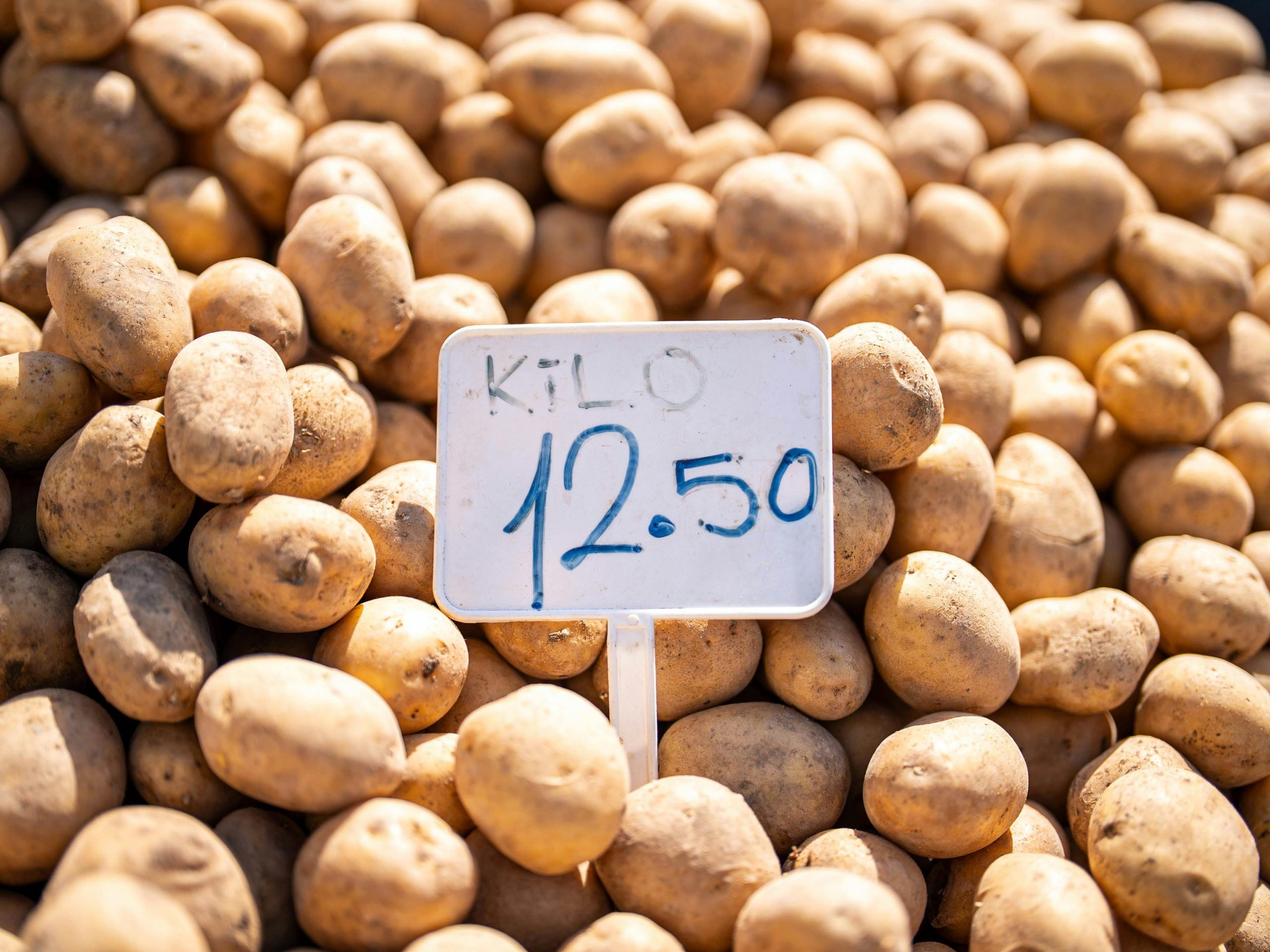 Top 12 des légumes oubliés qui reviennent en force sur les étals