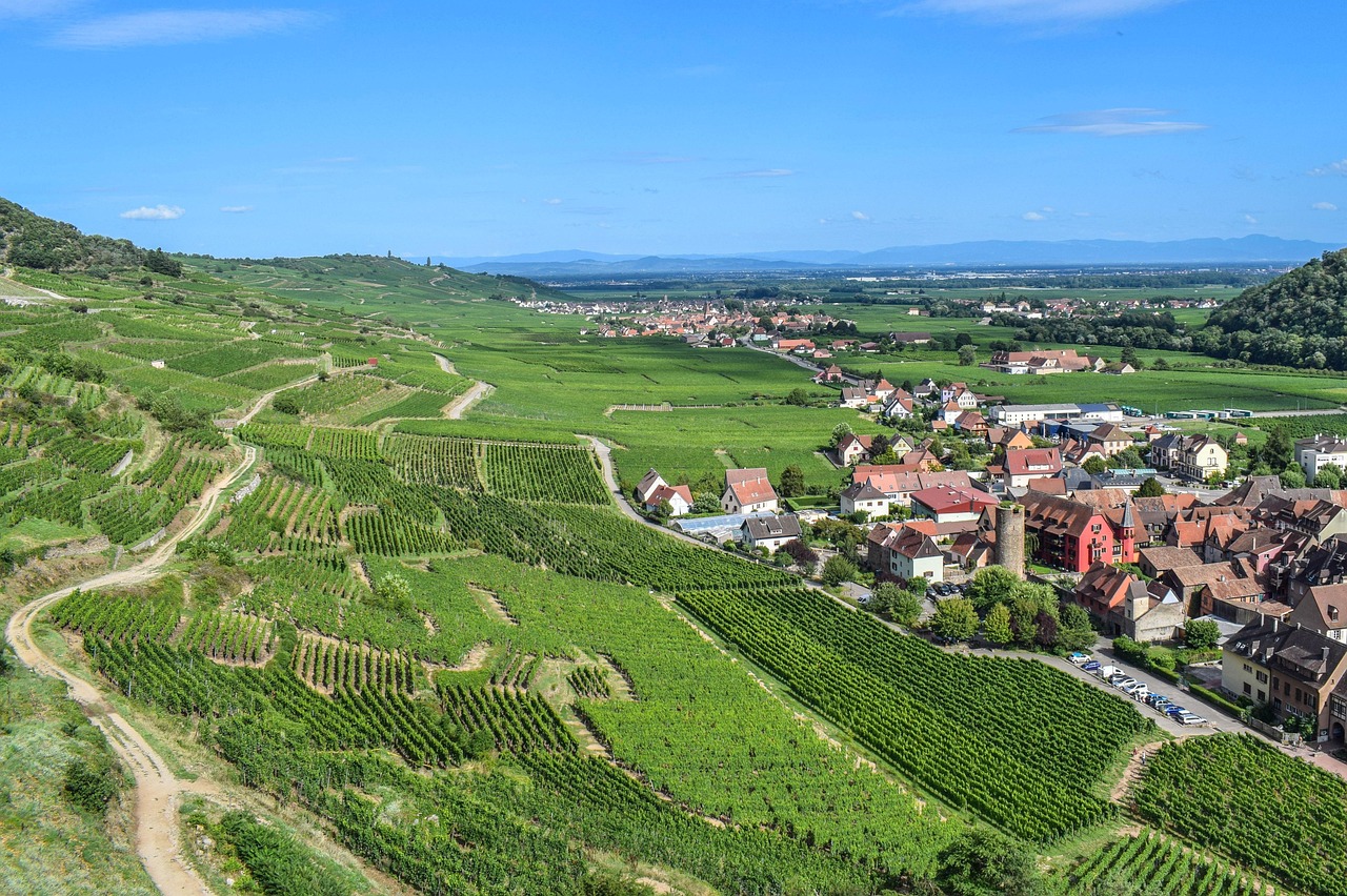 Top 12 des villages de Noël à voir en Alsace