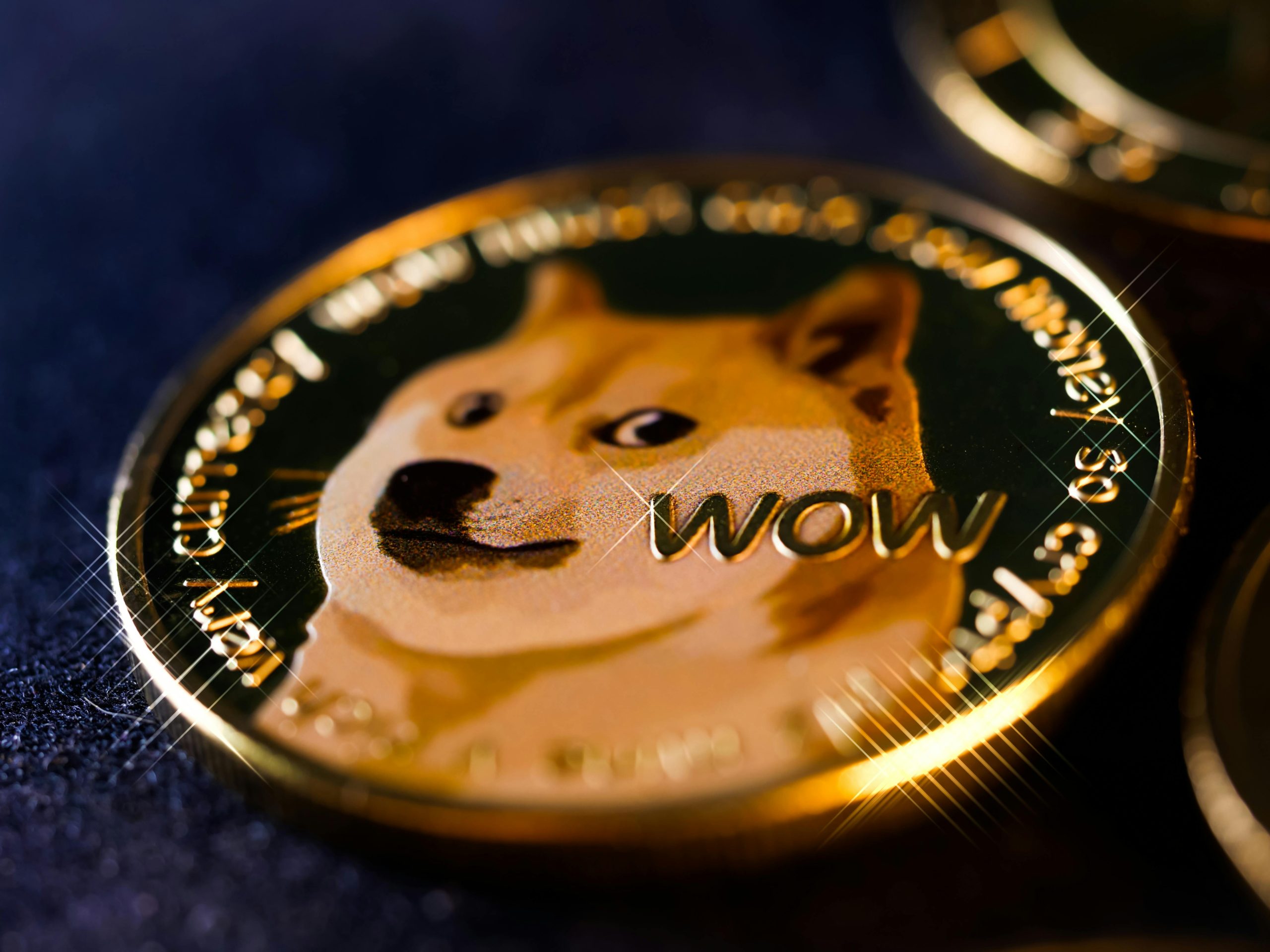 Top 13 des questions à se poser avant d'investir dans le Dogecoin