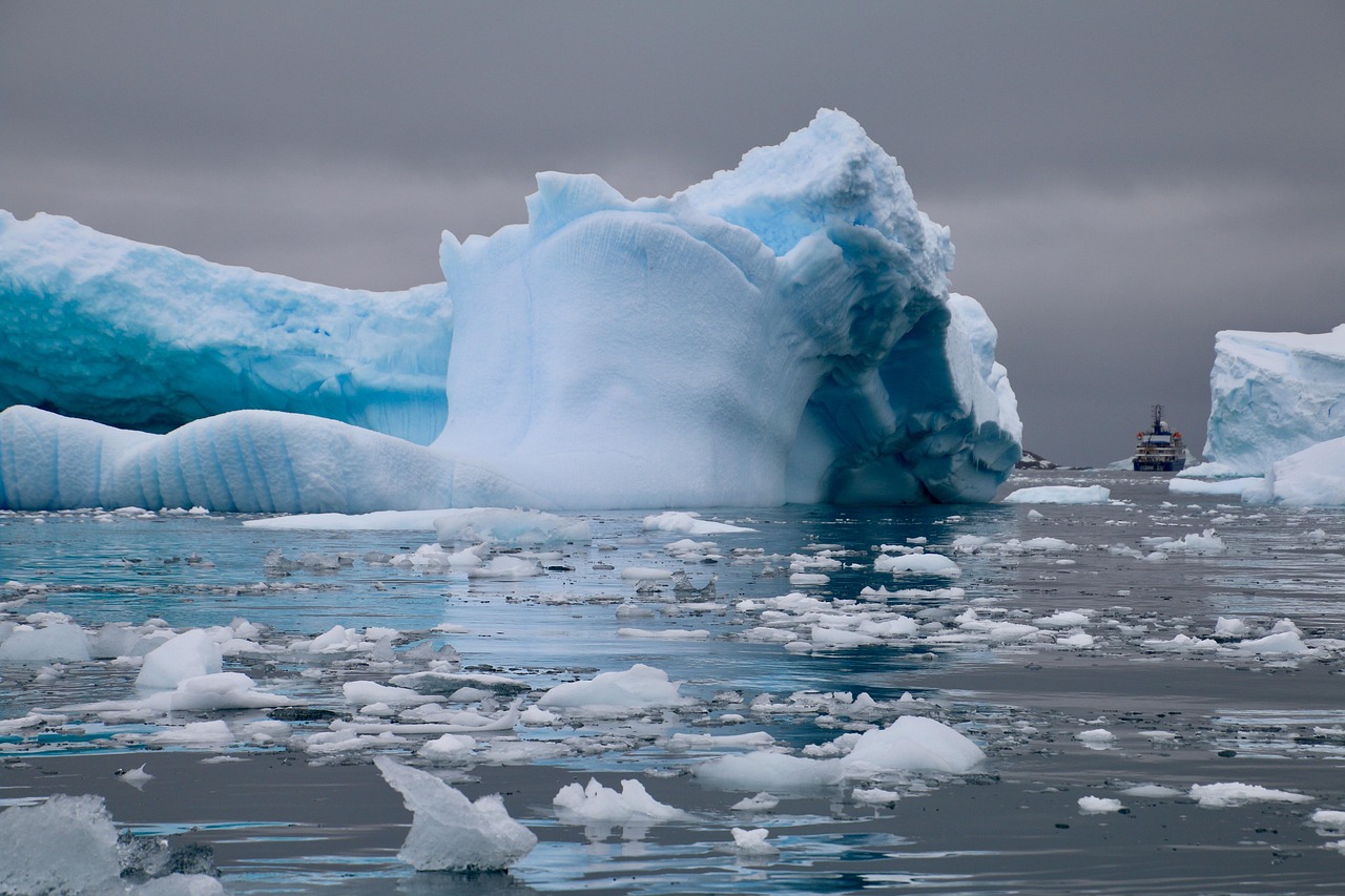 Top 14 des expériences uniques en Antarctique