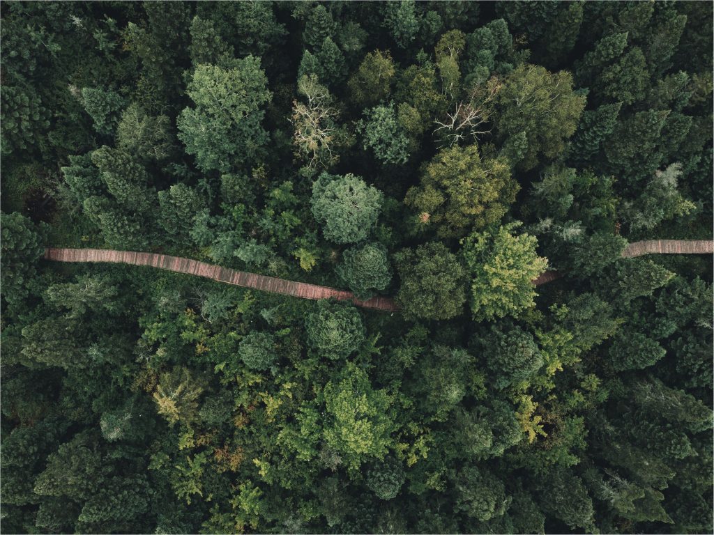 Top 18 des gestes simples pour préserver la biodiversité