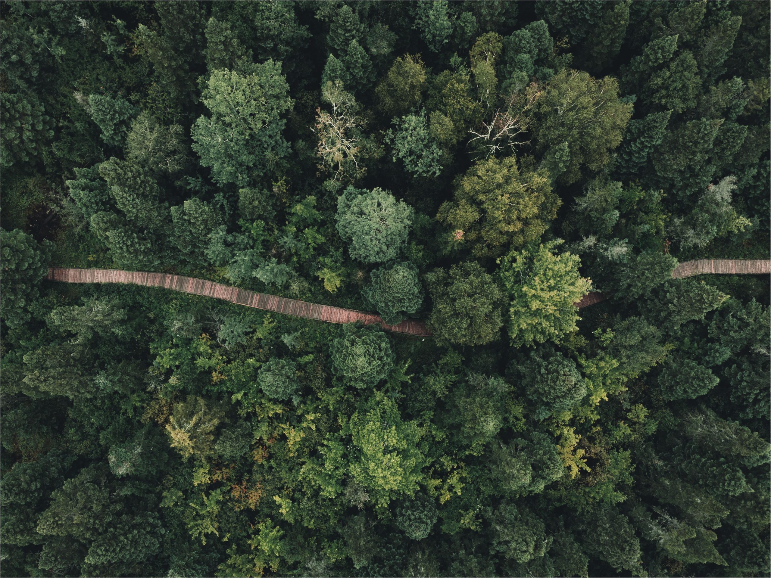 Top 18 des gestes simples pour préserver la biodiversité