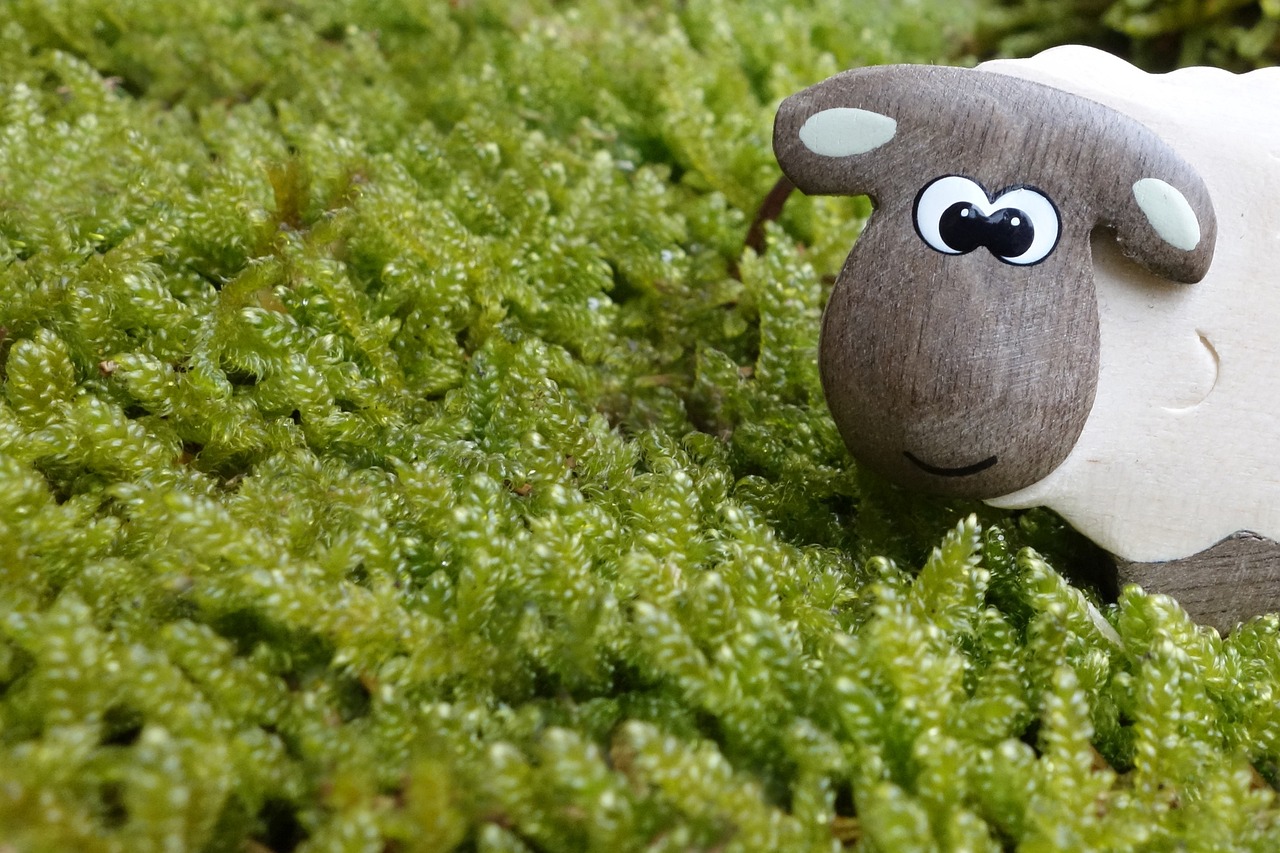 Top 7 des jouets en bois à privilégier