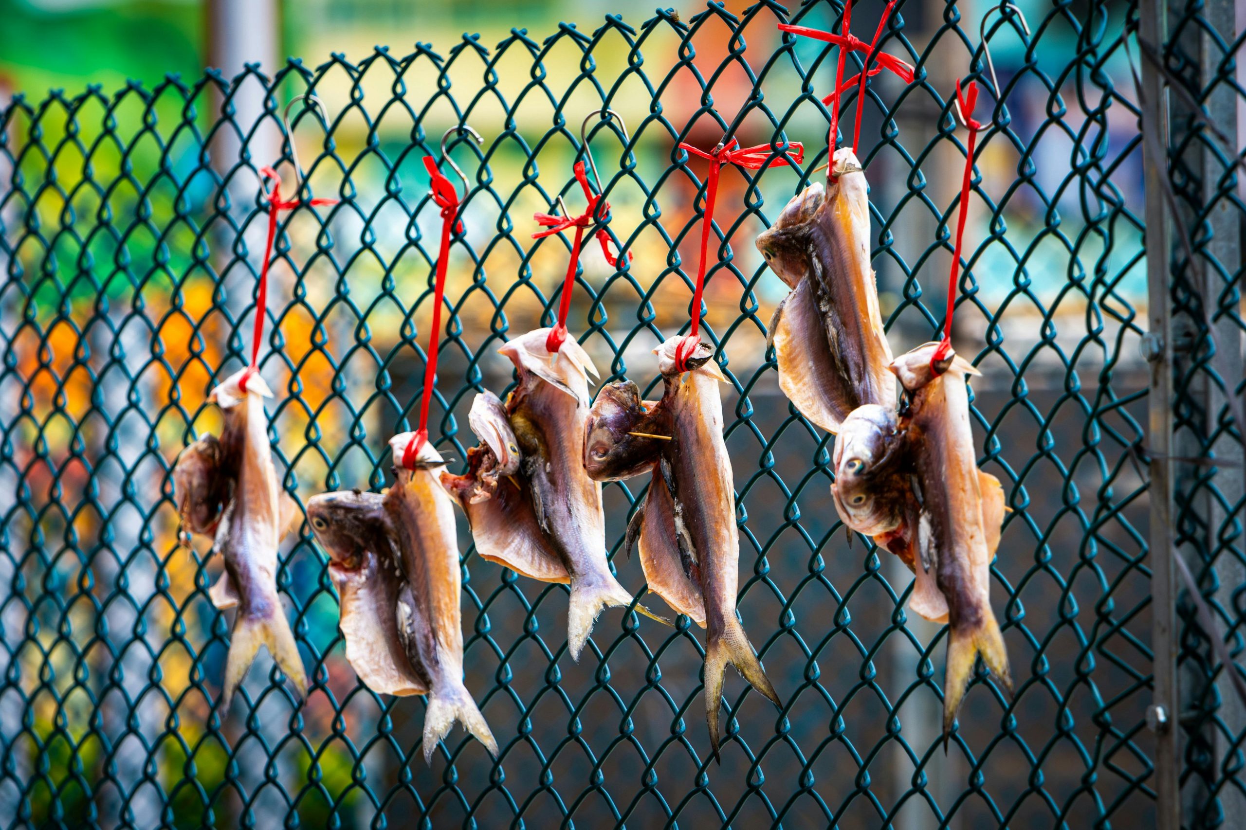 Top 7 des traditions autour du poisson d’avril