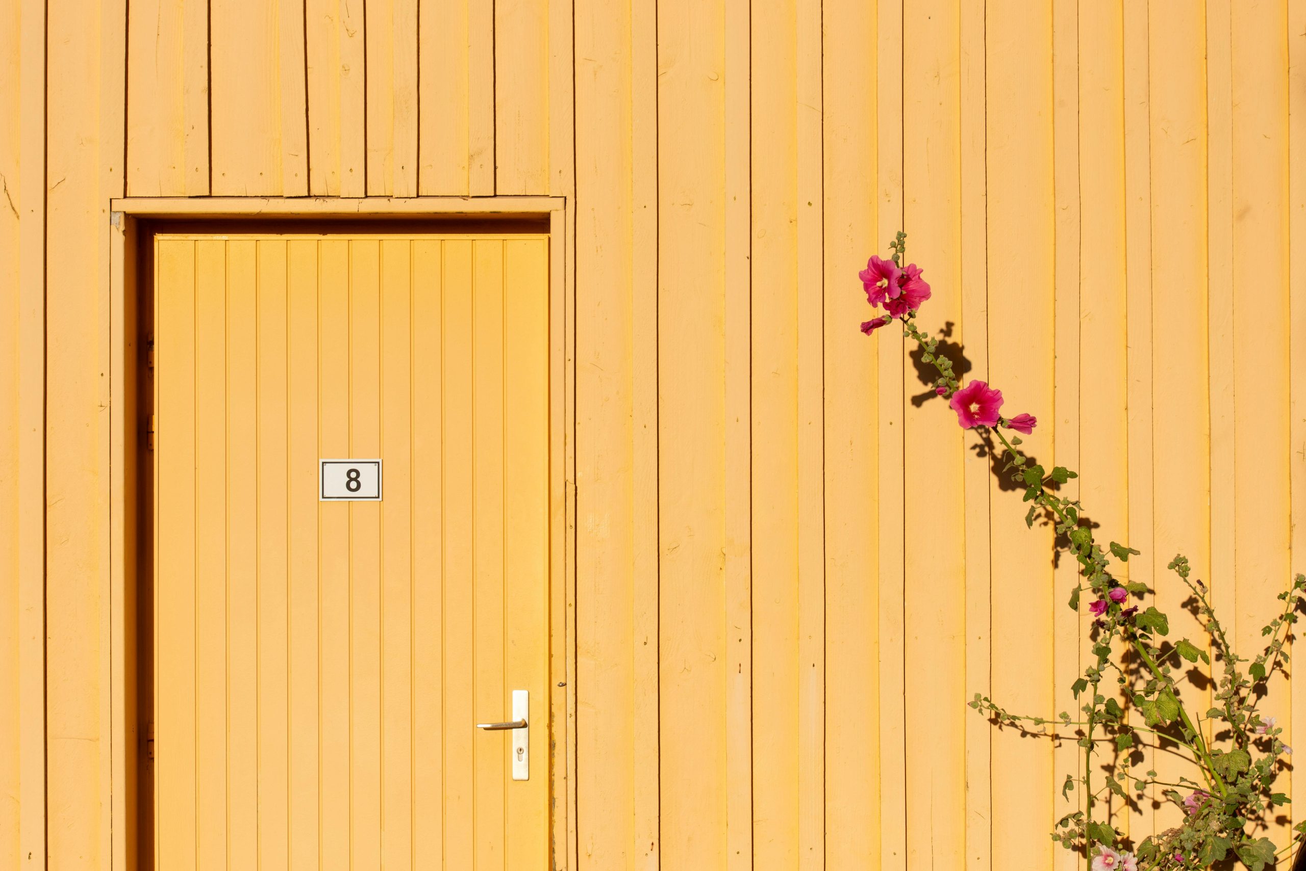 Top 8 des bénéfices d'une maison en paille