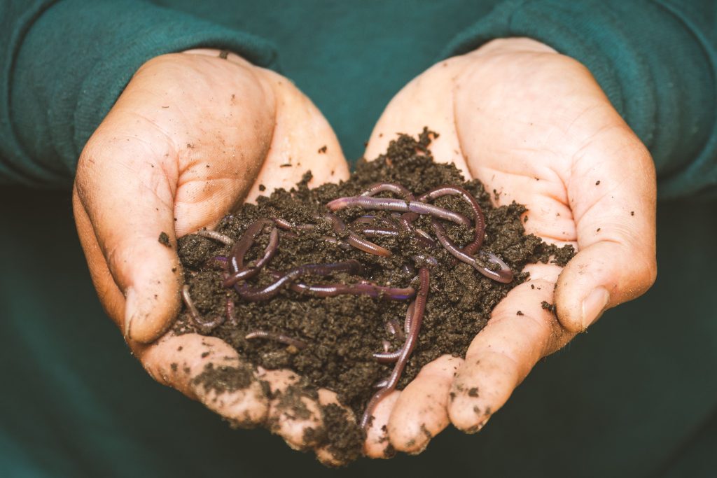 Top 9 des avantages du compostage au jardin