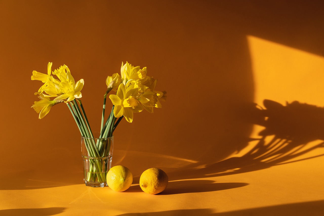 Top 9 des objets déco pour personnaliser sa maison